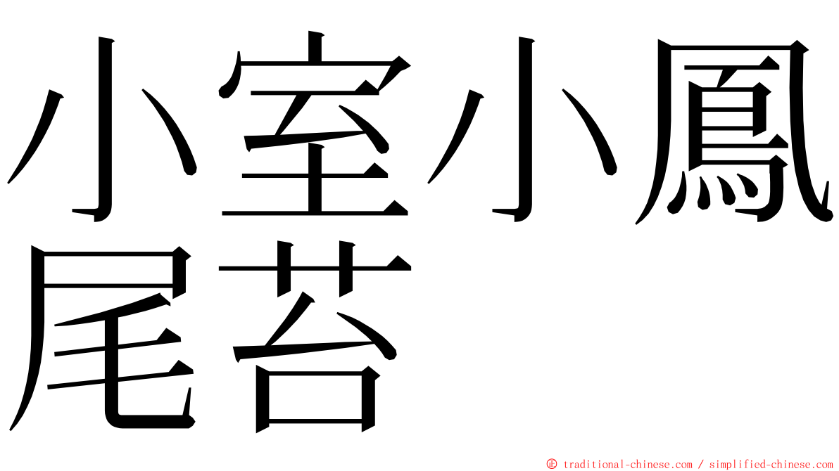 小室小鳳尾苔 ming font