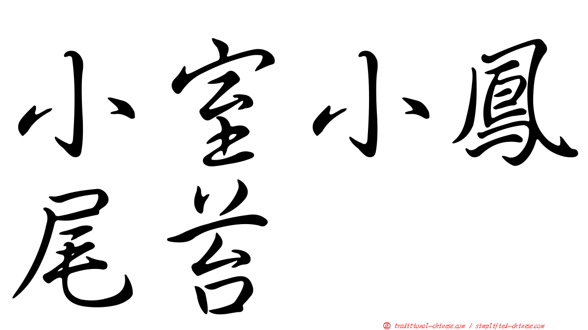 小室小鳳尾苔