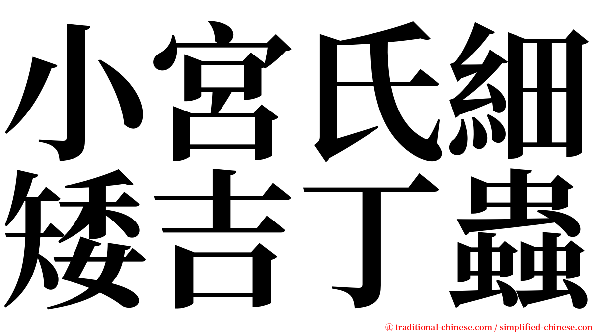 小宮氏細矮吉丁蟲 serif font