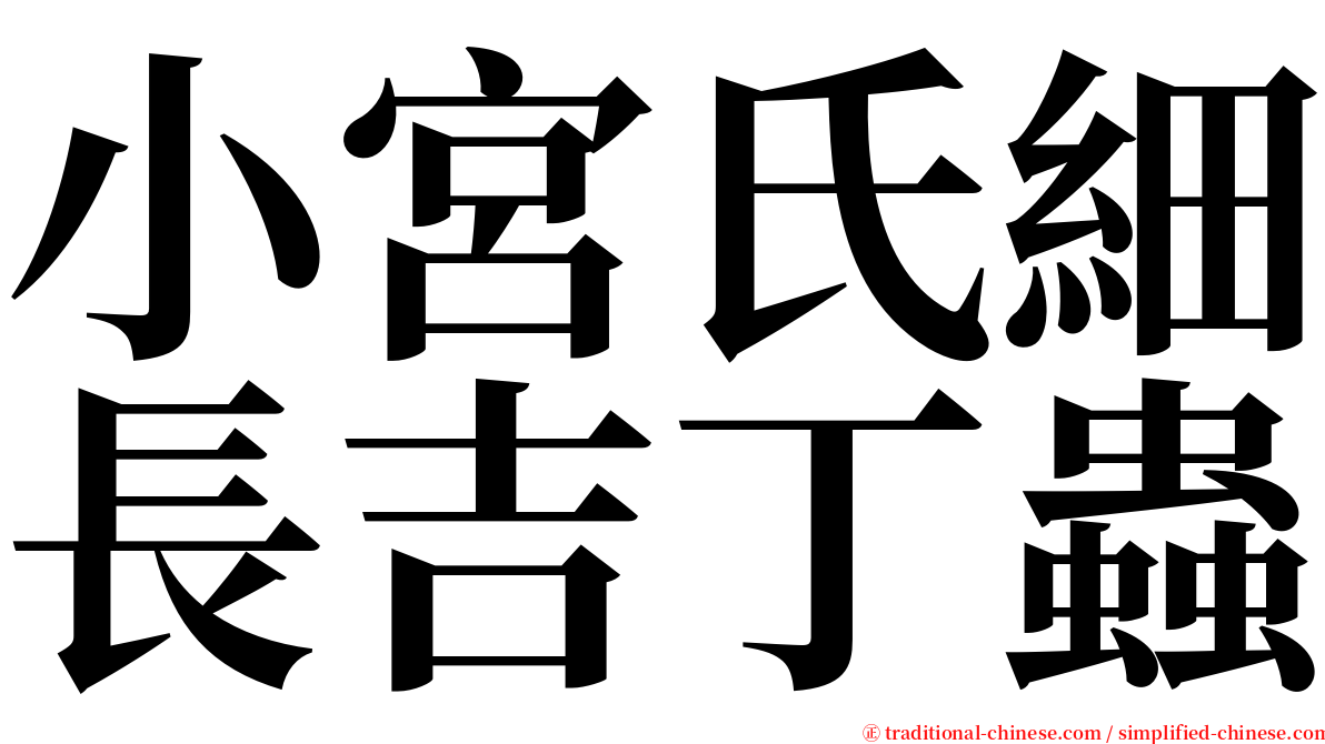 小宮氏細長吉丁蟲 serif font