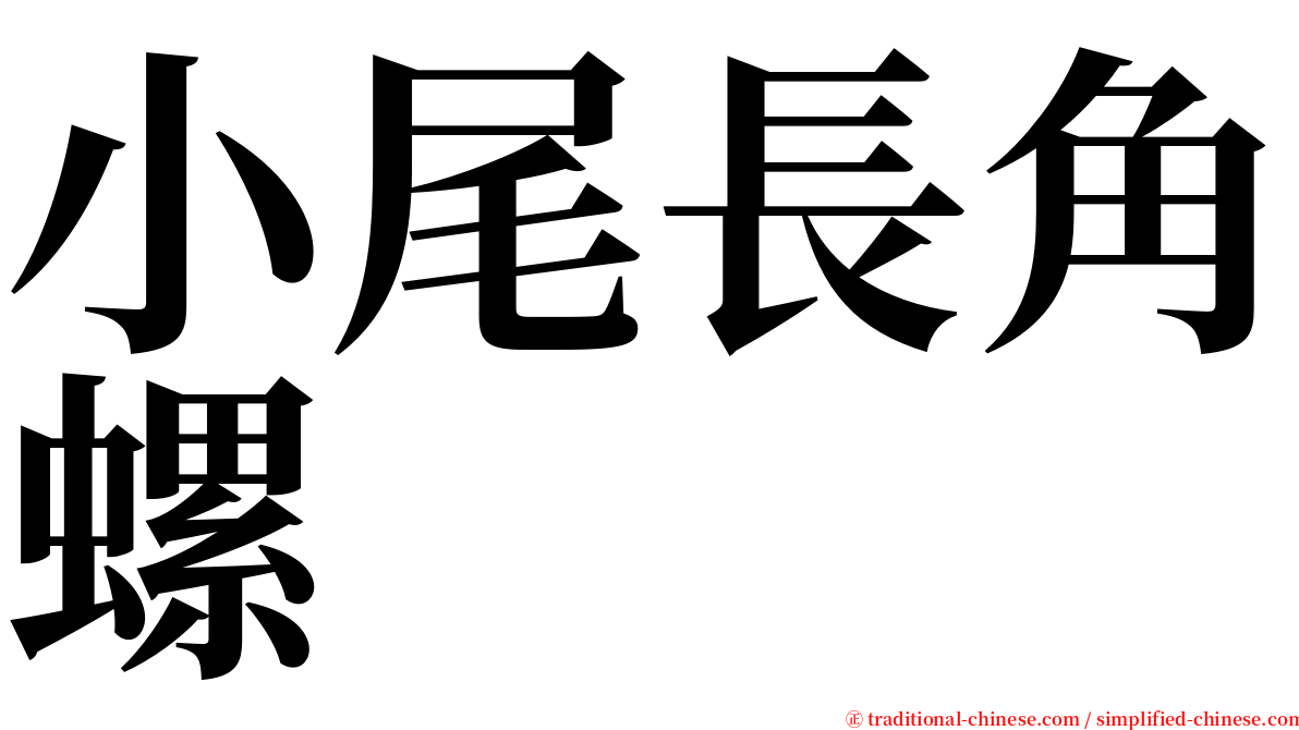 小尾長角螺 serif font