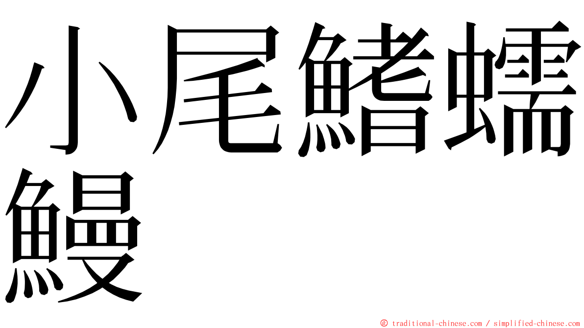 小尾鰭蠕鰻 ming font