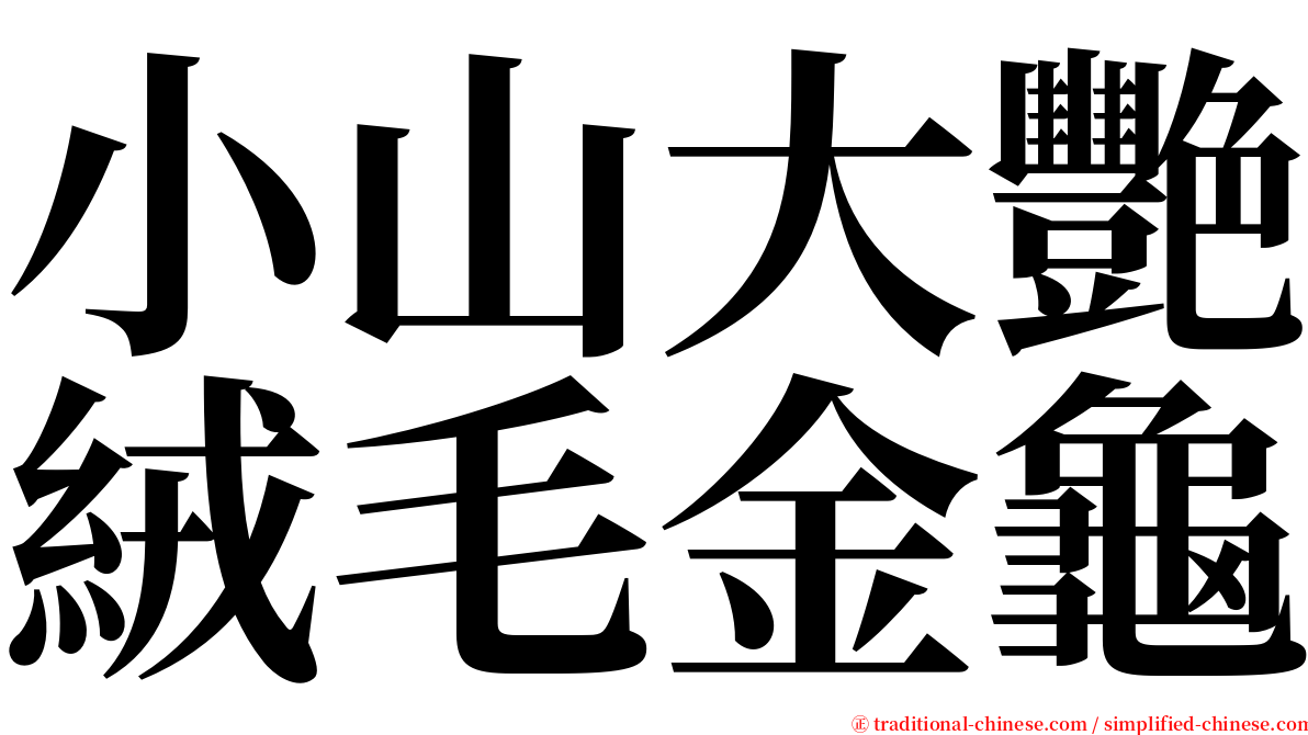 小山大艷絨毛金龜 serif font