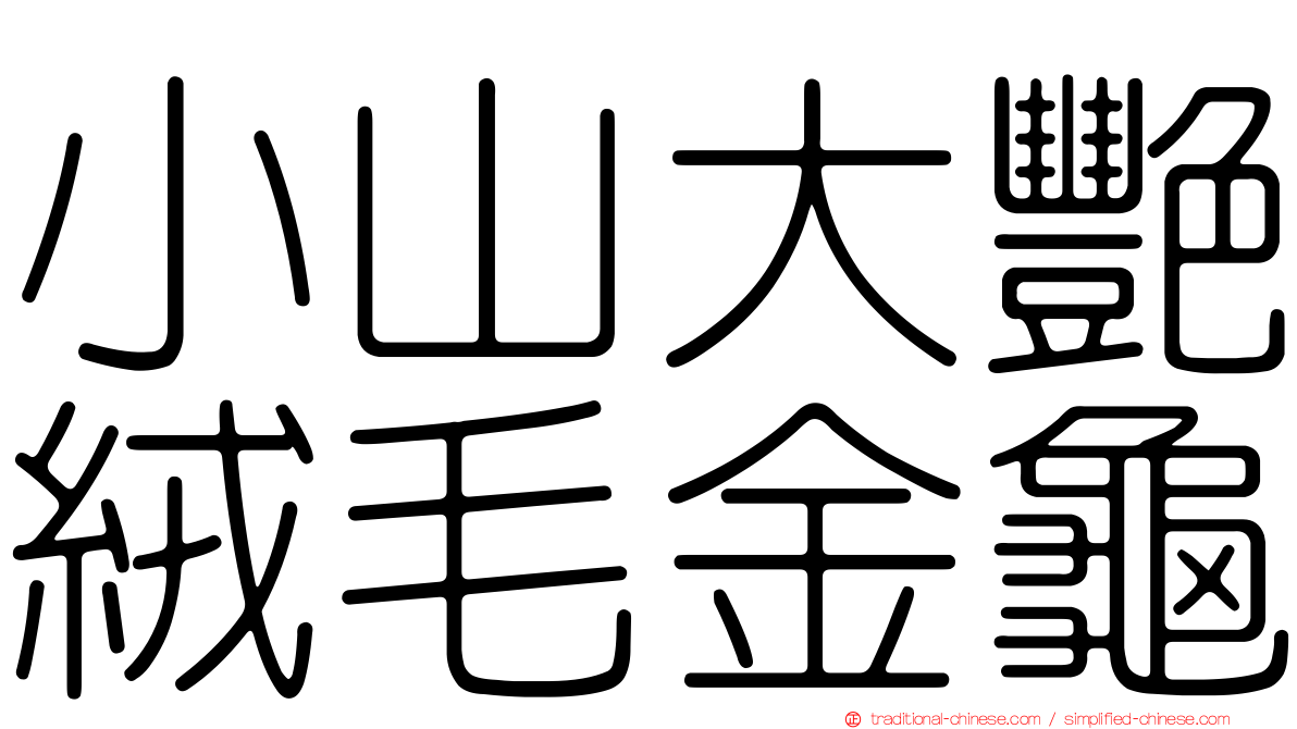 小山大艷絨毛金龜