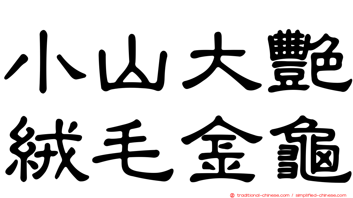 小山大艷絨毛金龜