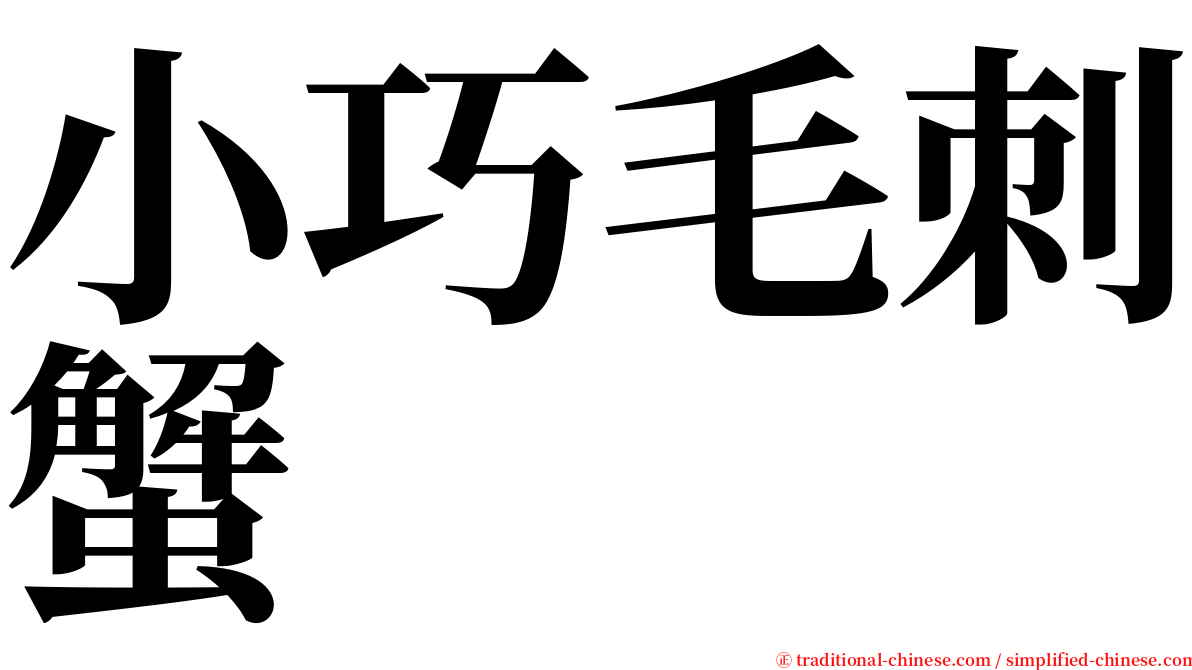 小巧毛刺蟹 serif font