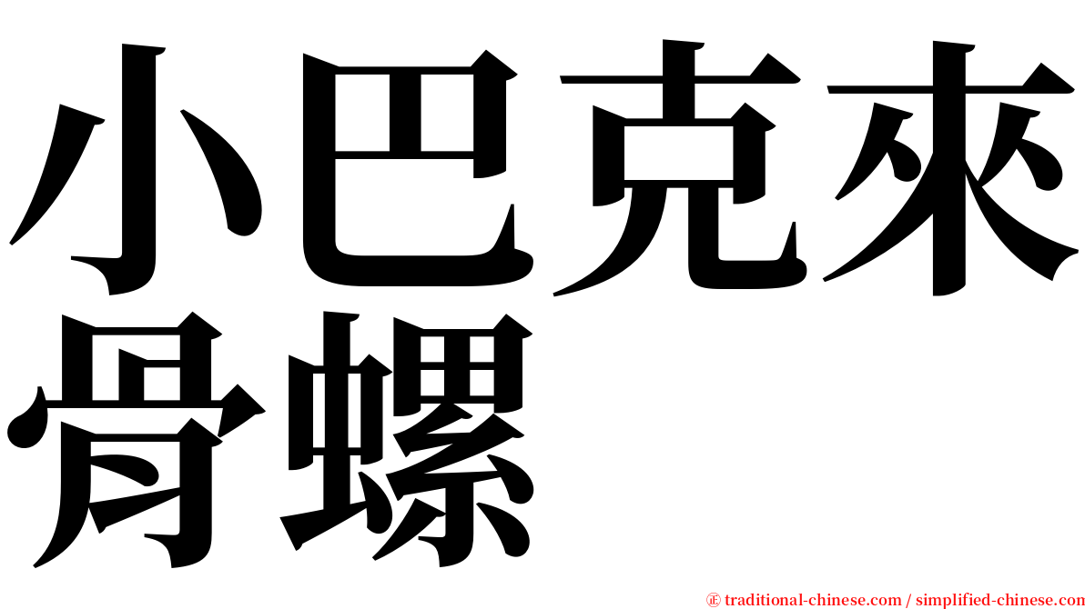 小巴克來骨螺 serif font