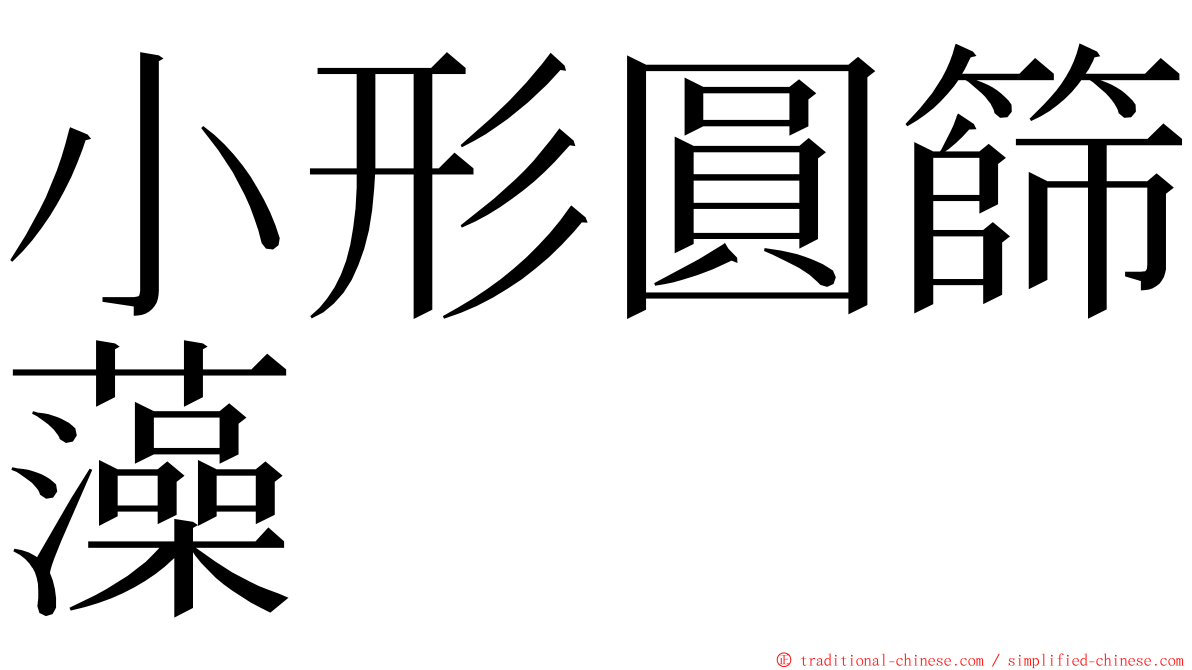 小形圓篩藻 ming font