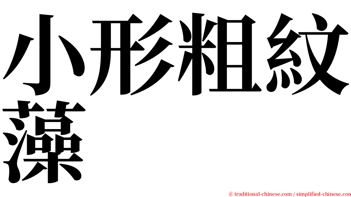 小形粗紋藻 serif font