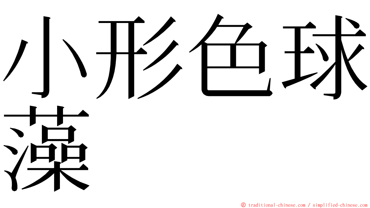 小形色球藻 ming font