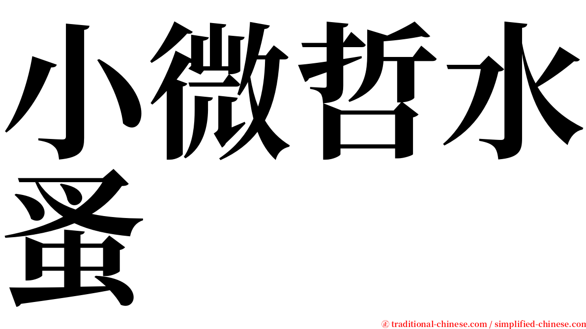 小微哲水蚤 serif font