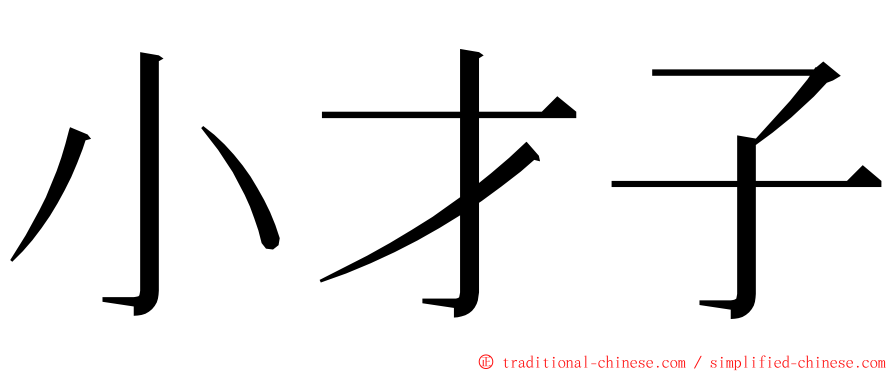 小才子 ming font