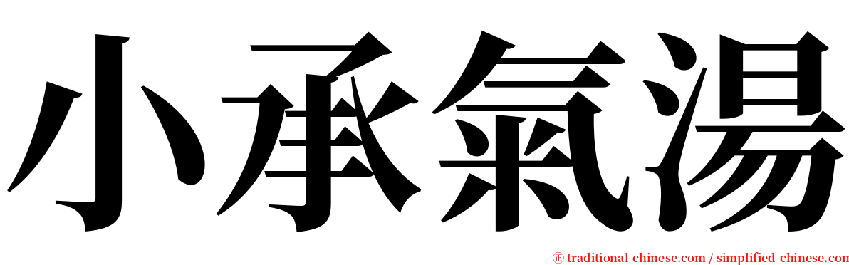 小承氣湯 serif font