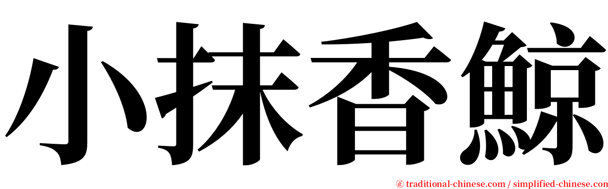 小抹香鯨 serif font