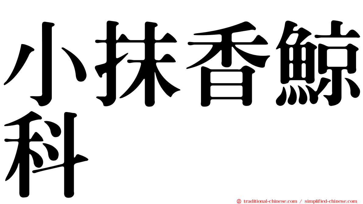 小抹香鯨科