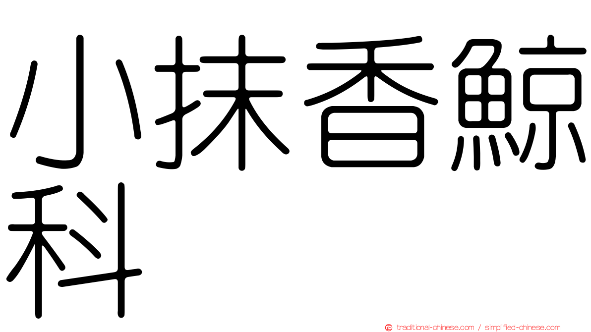 小抹香鯨科