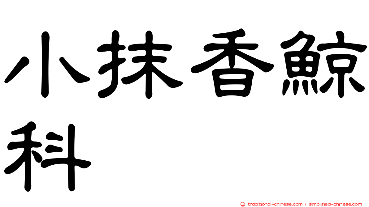 小抹香鯨科