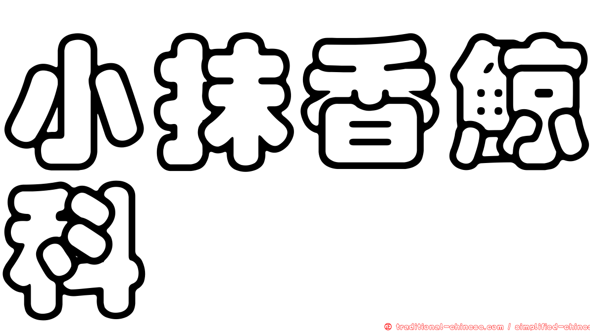 小抹香鯨科