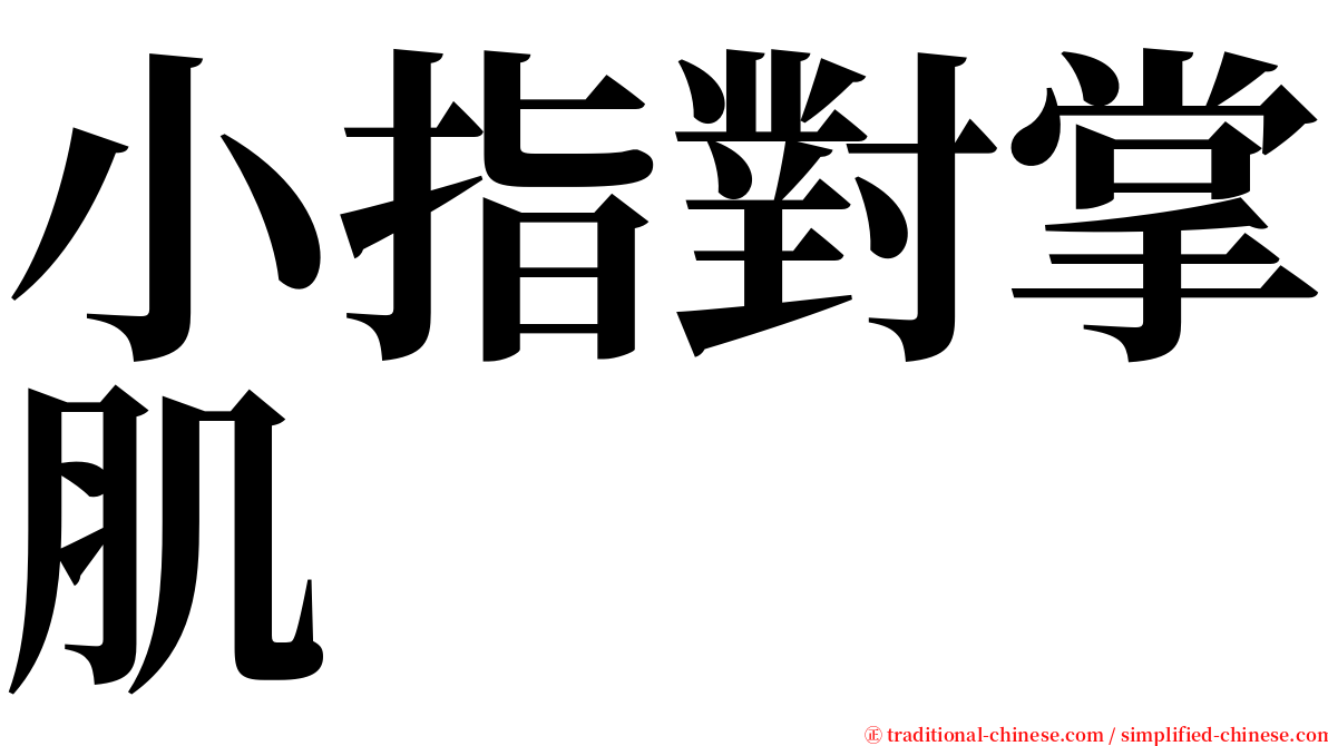 小指對掌肌 serif font