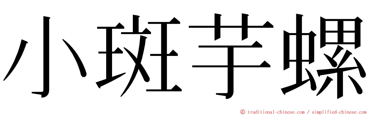 小斑芋螺 ming font