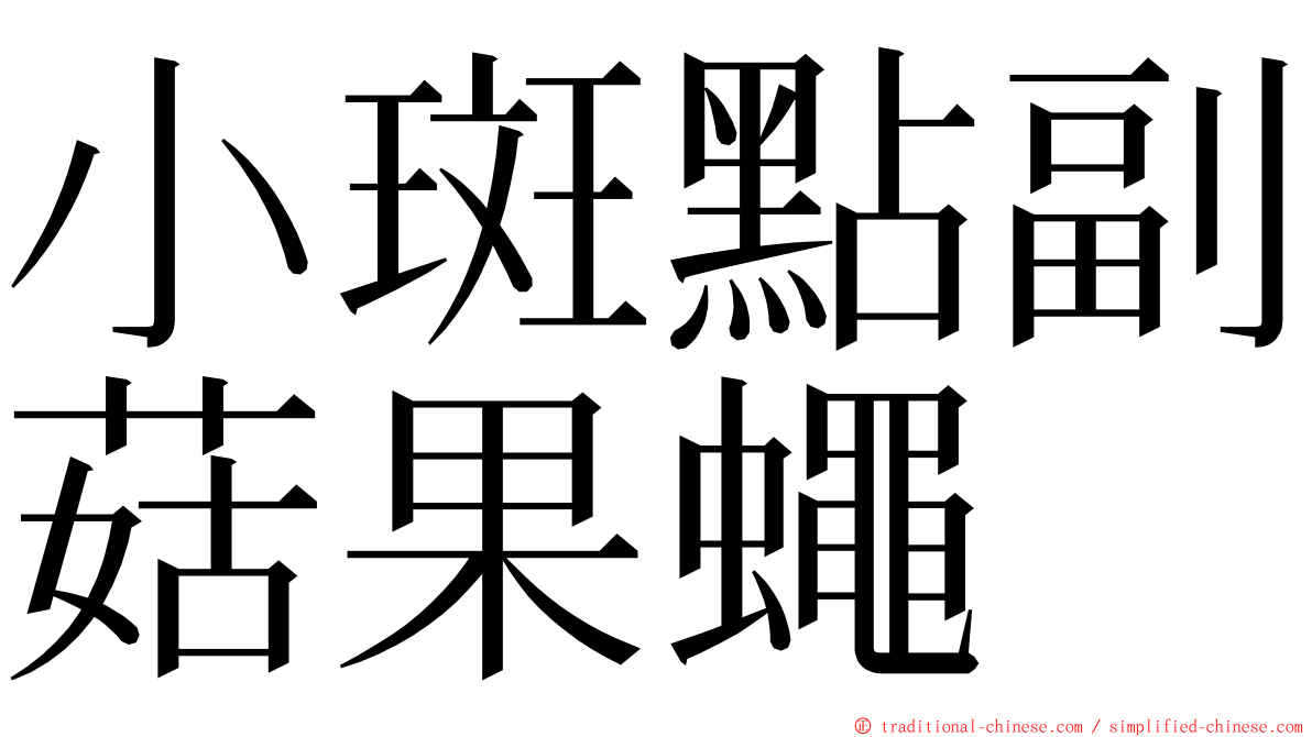 小斑點副菇果蠅 ming font