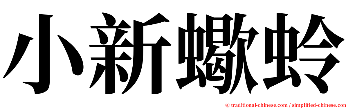 小新蠍蛉 serif font