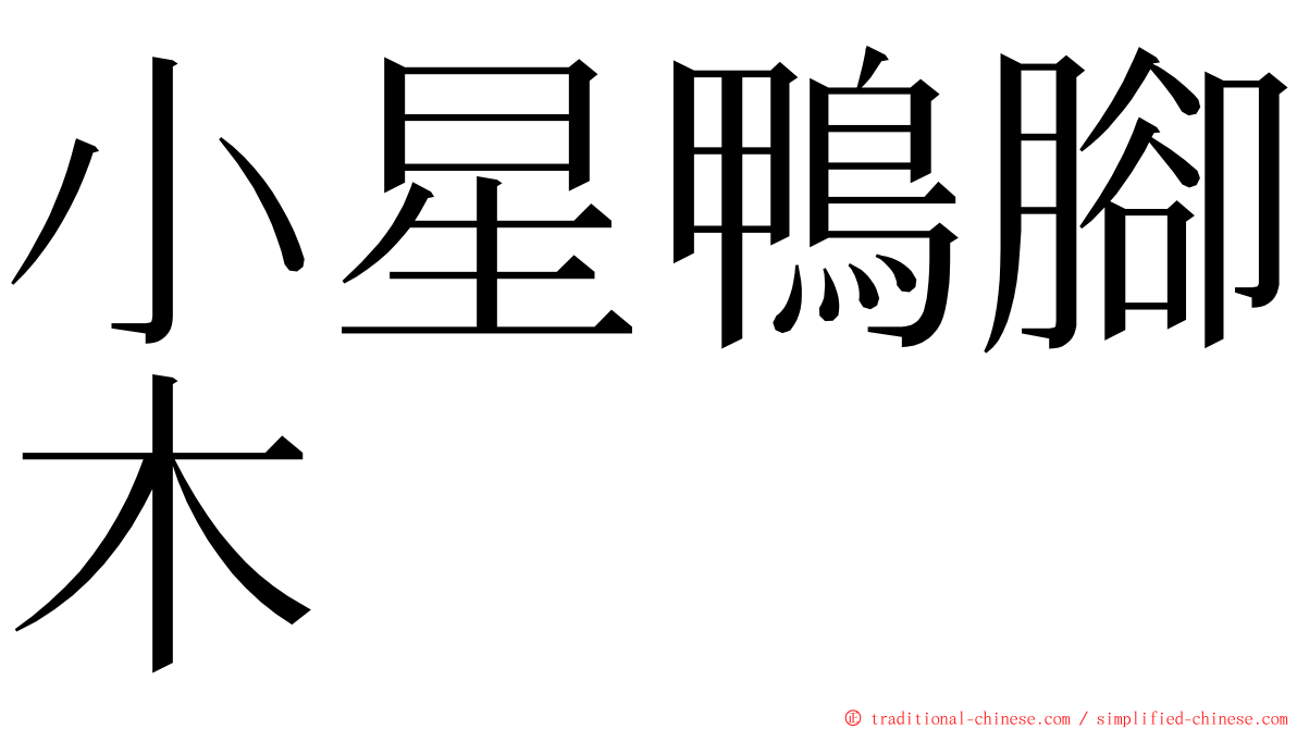 小星鴨腳木 ming font