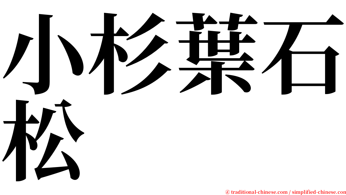 小杉葉石松 serif font