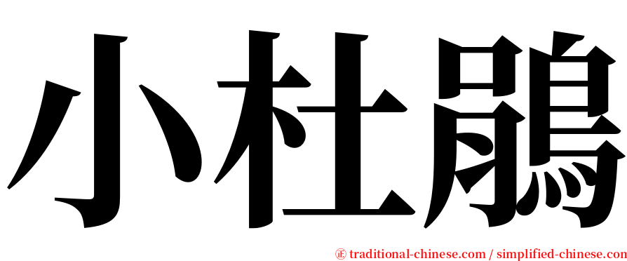 小杜鵑 serif font