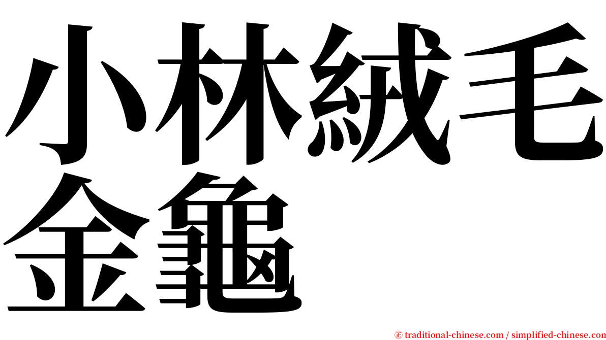 小林絨毛金龜 serif font