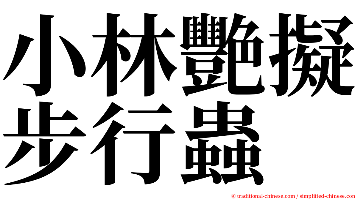 小林艷擬步行蟲 serif font