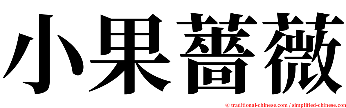 小果薔薇 serif font