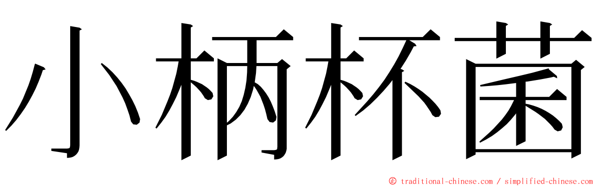 小柄杯菌 ming font