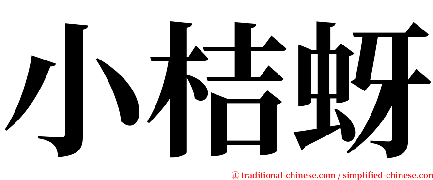 小桔蚜 serif font