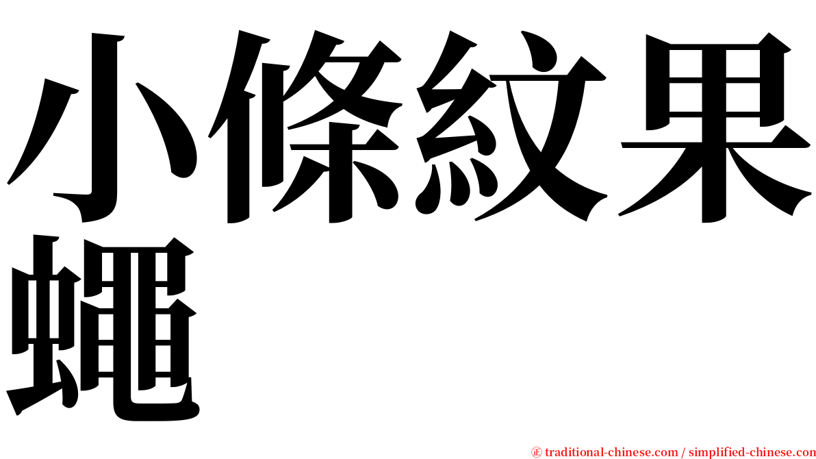 小條紋果蠅 serif font