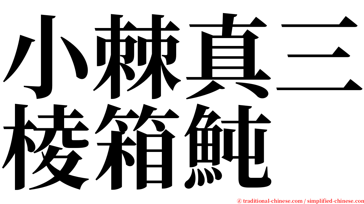 小棘真三棱箱魨 serif font