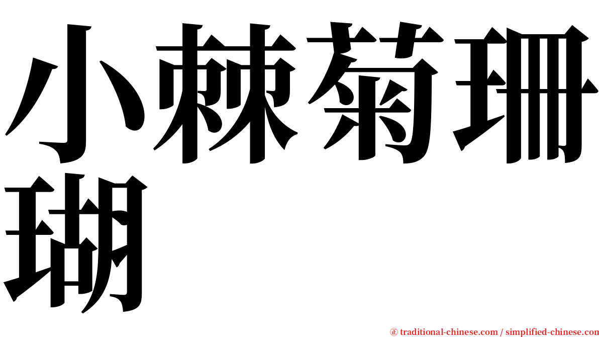 小棘菊珊瑚 serif font