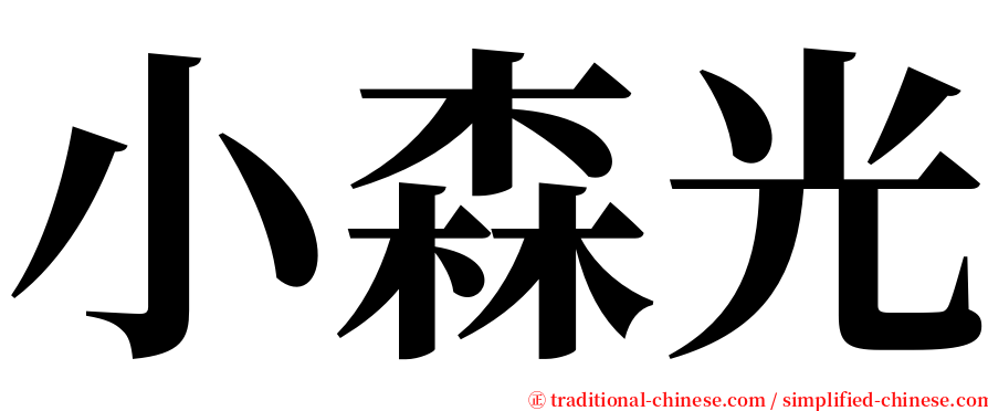 小森光 serif font