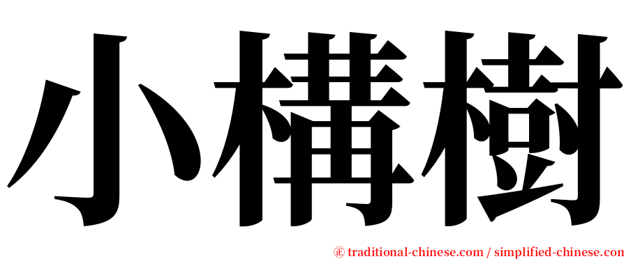 小構樹 serif font