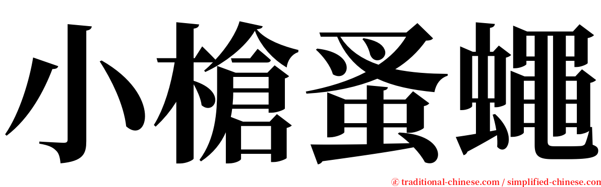 小槍蚤蠅 serif font