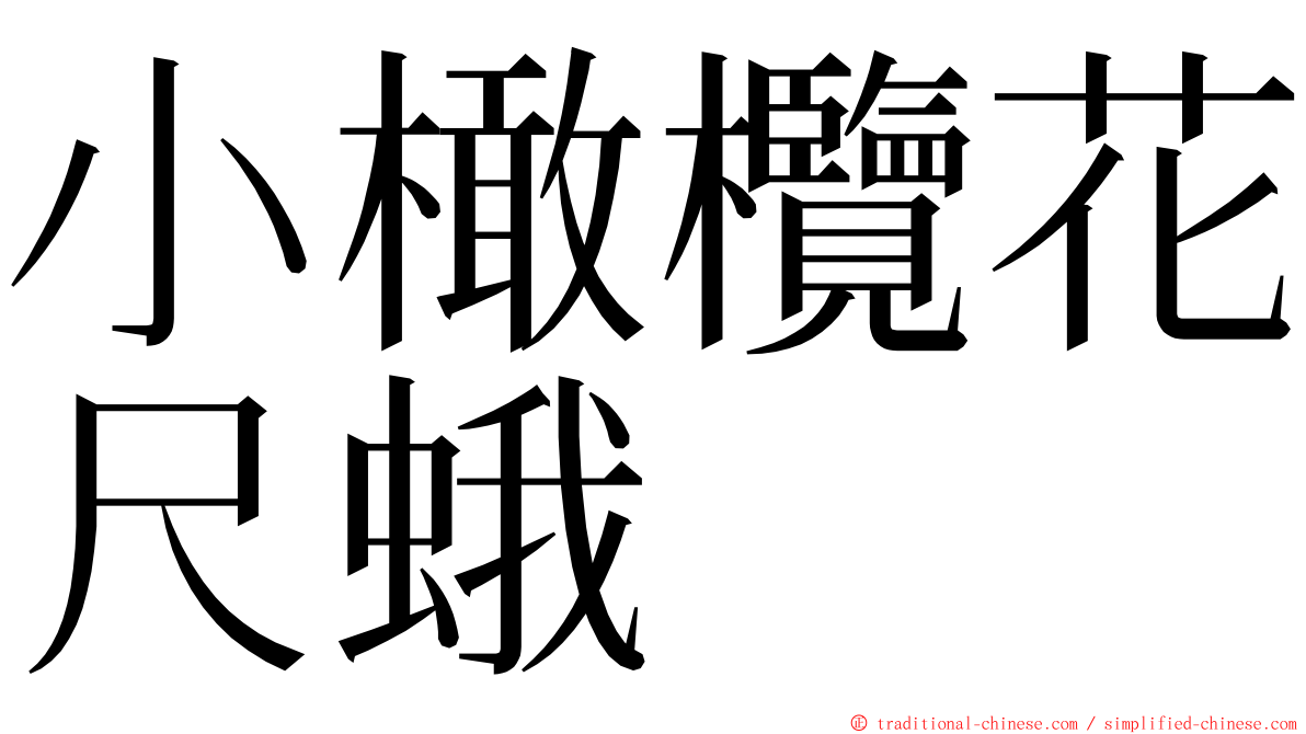 小橄欖花尺蛾 ming font