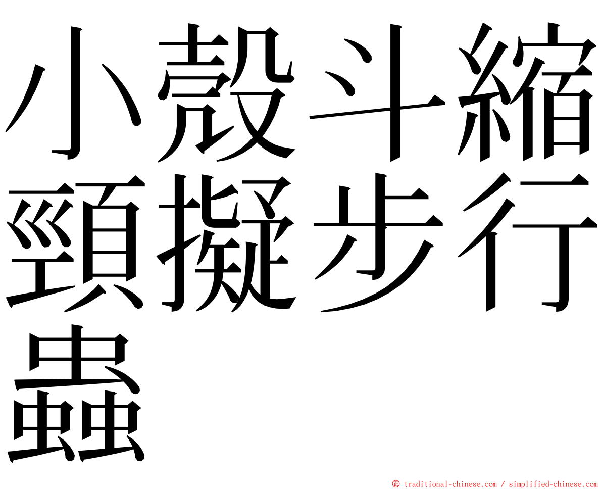 小殼斗縮頸擬步行蟲 ming font