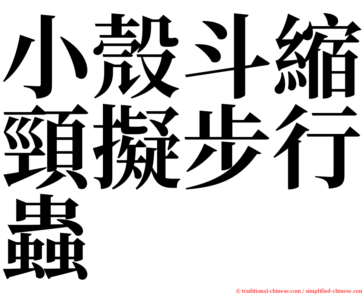 小殼斗縮頸擬步行蟲 serif font