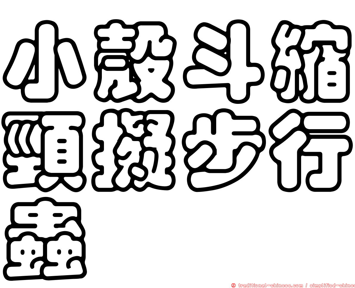 小殼斗縮頸擬步行蟲