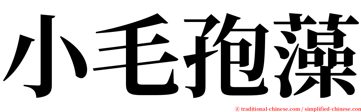 小毛孢藻 serif font