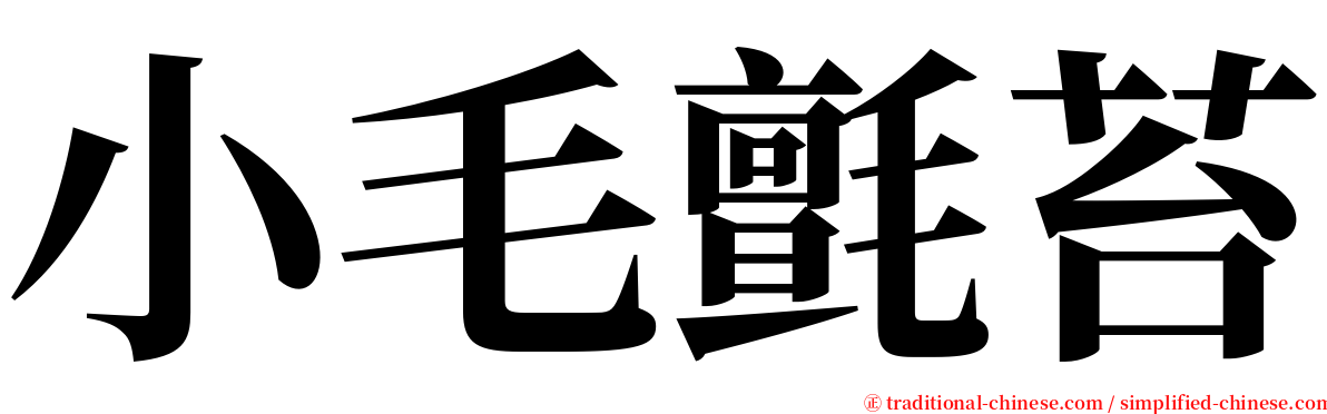 小毛氈苔 serif font