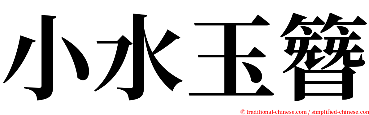 小水玉簪 serif font