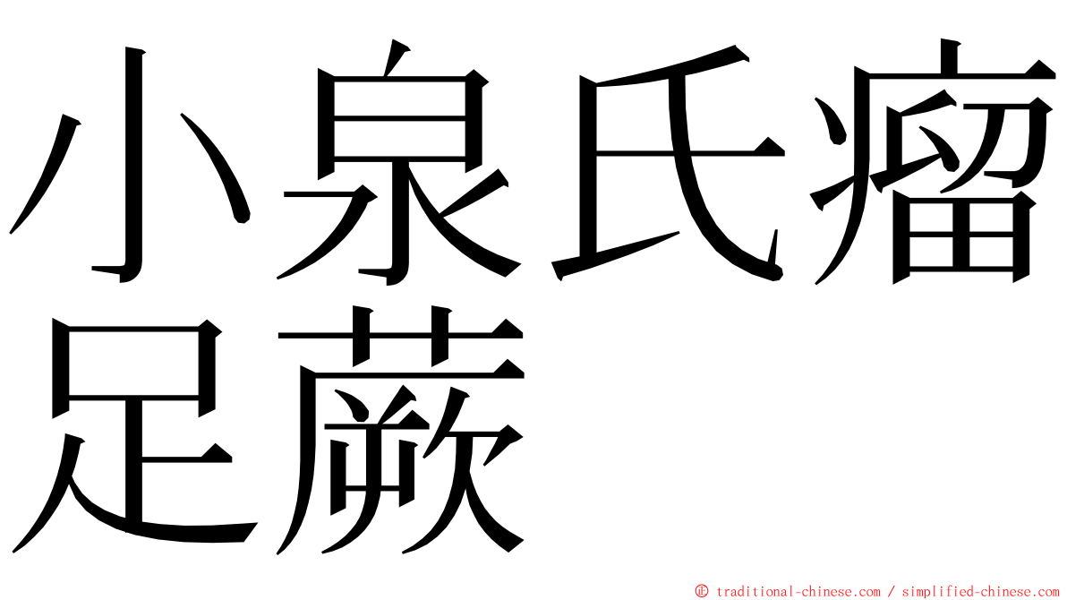 小泉氏瘤足蕨 ming font