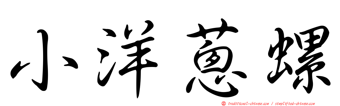 小洋蔥螺