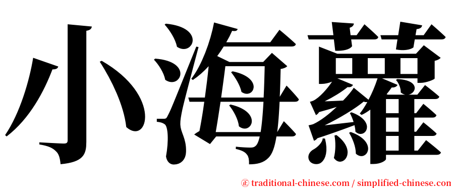 小海蘿 serif font